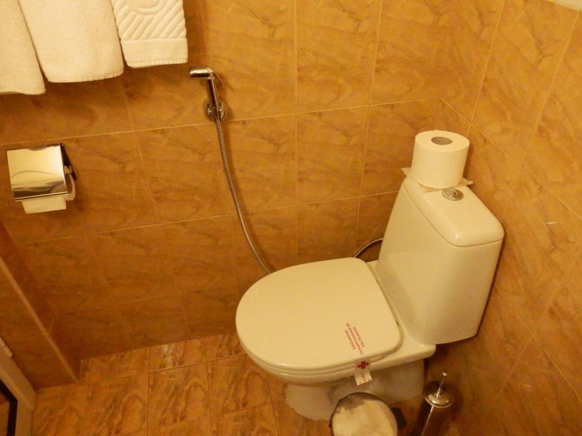 Семеен Хотел Роза Kazanlŭk Room photo